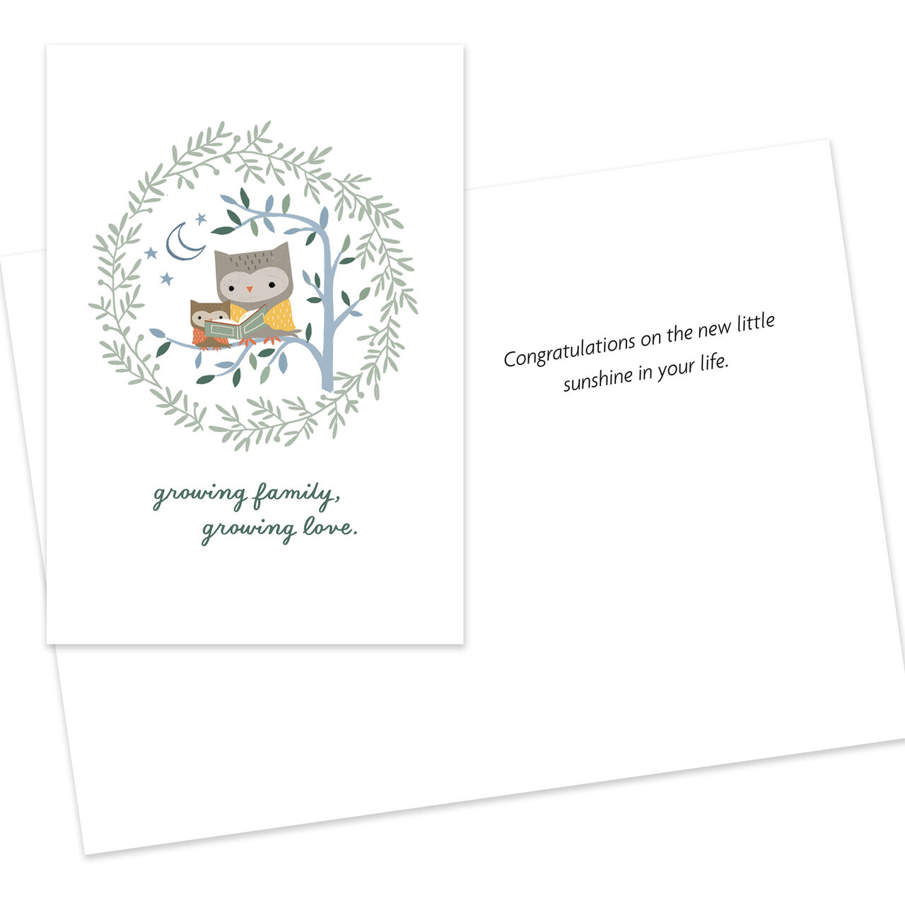 Baby, Adoption, Grandbaby Assorted Cards 25 Pack image number 3