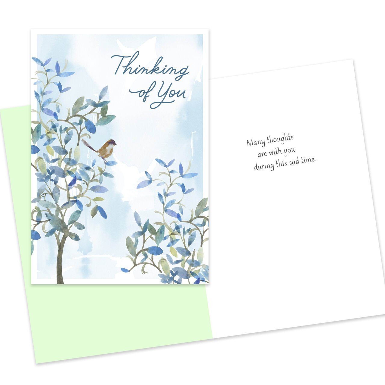 Thinking of You and Sympathy Assorted Cards 25 Pack image number 4