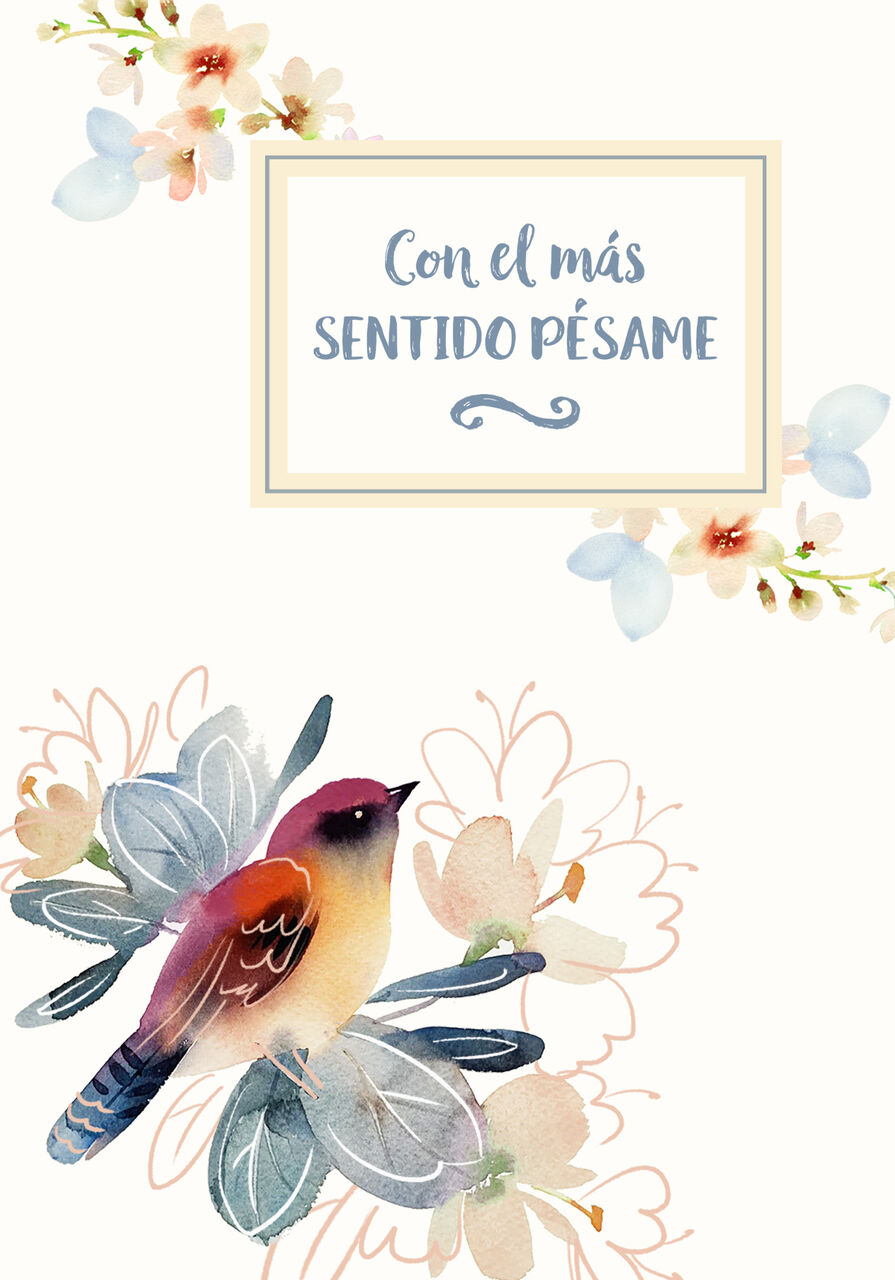 Sincere Condolences Spanish Sympathy Card