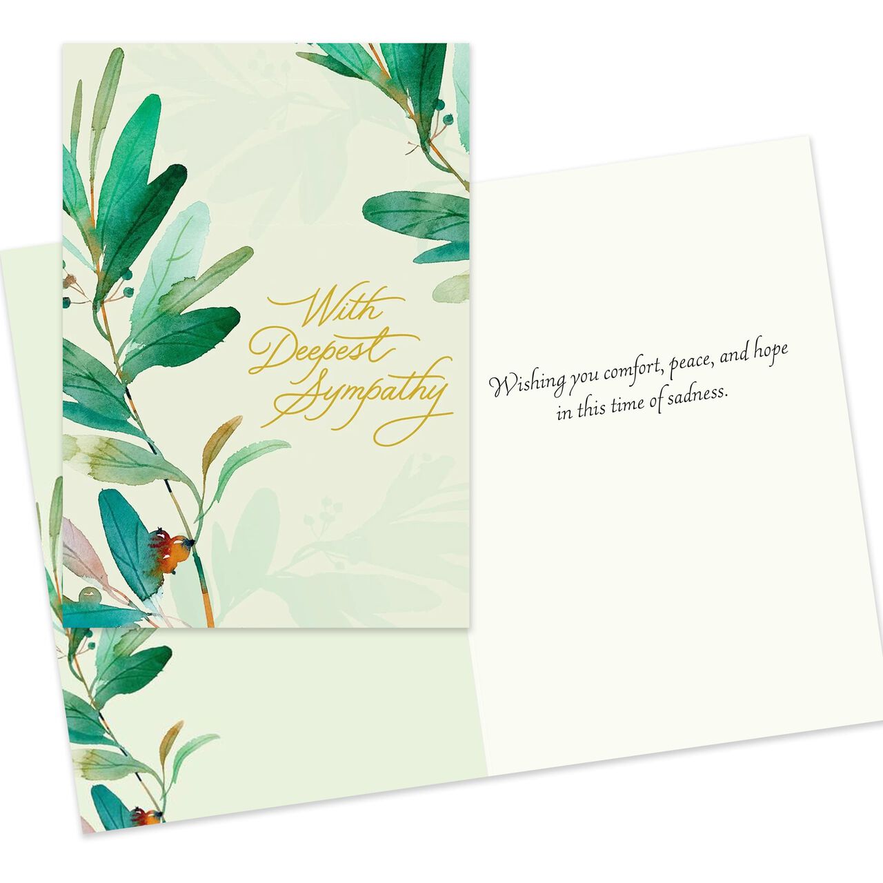 All Occasions Assorted Greeting Cards 25 Pack image number 3