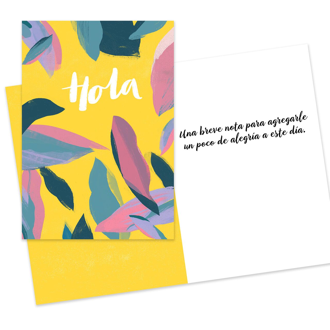 Spanish All Occasion Starter Kit Assorted Cards 50 Pack image number 9
