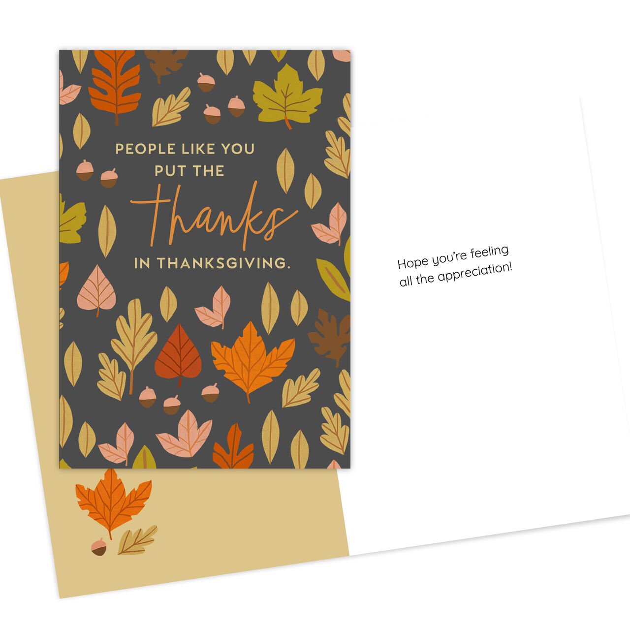 Appreciation & Thanks Assorted Thanksgiving Cards 10 Pack image number 1