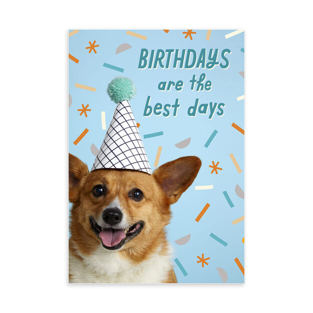 Corgi in Party Hat Birthday Card