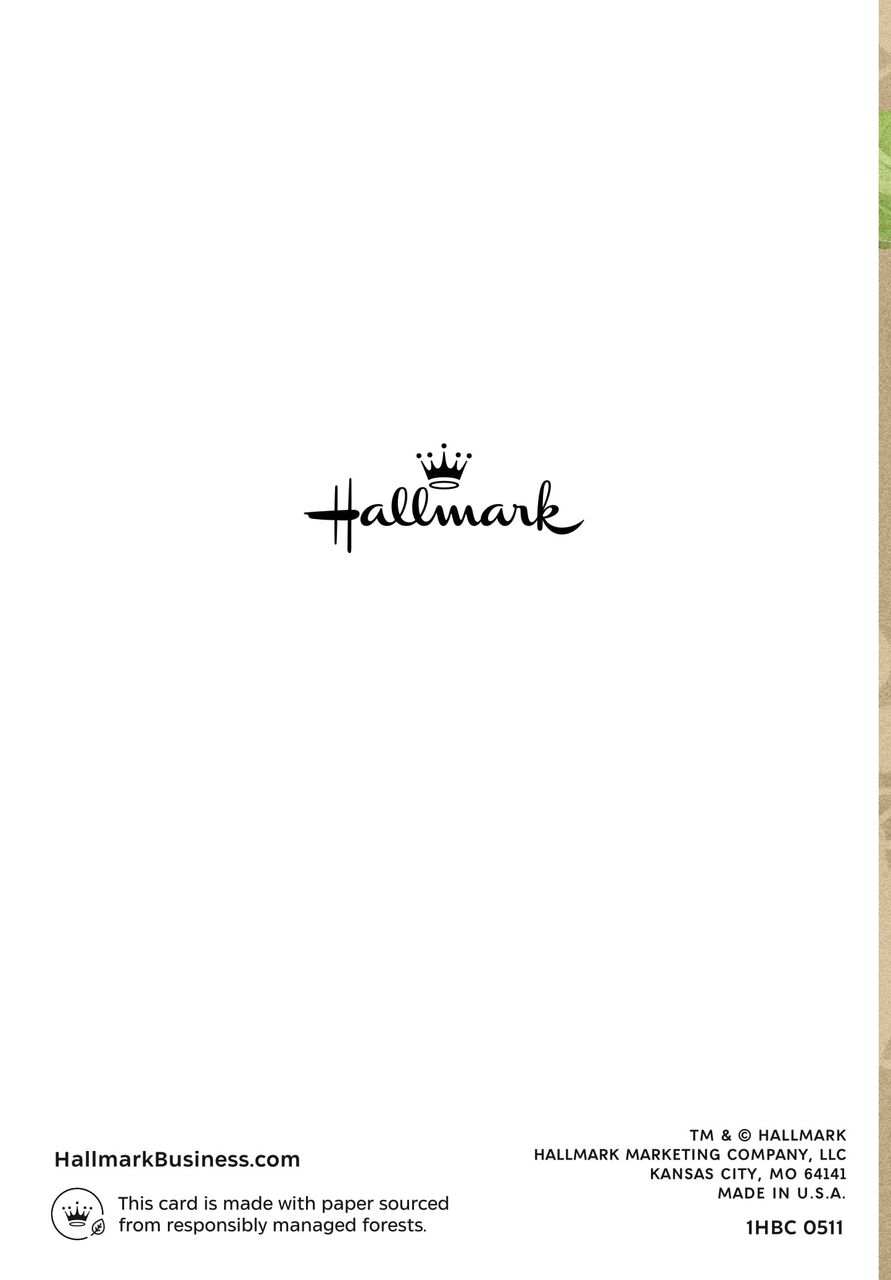 Holly & Appreciation Holiday Cards