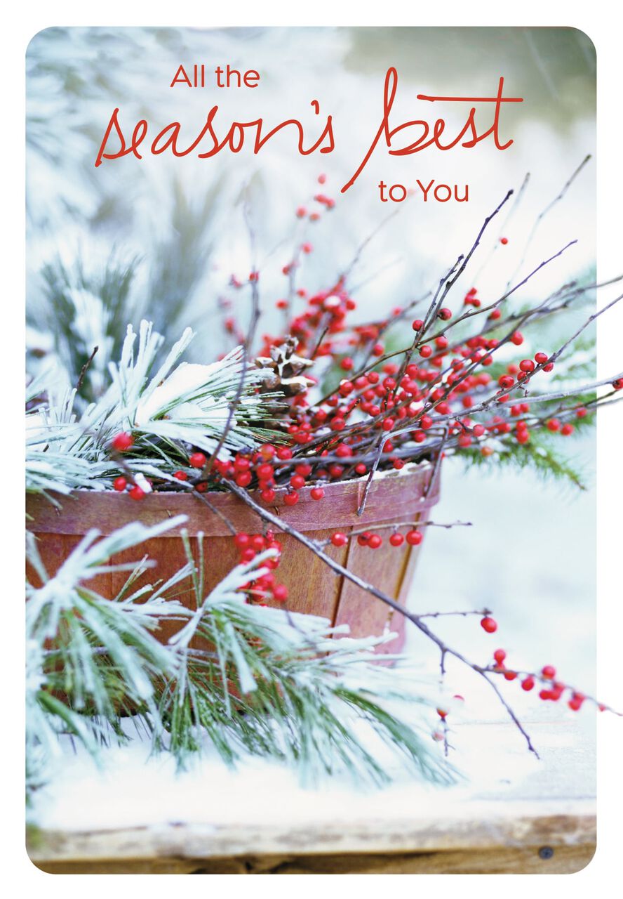 Evergreen & Berries Season's Best Holiday Card
