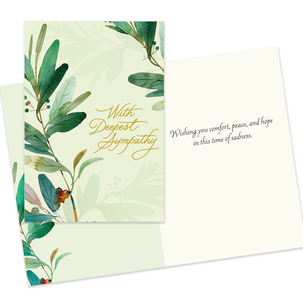 Assorted Sympathy & Thinking of You Cards 25 Pack image number 2
