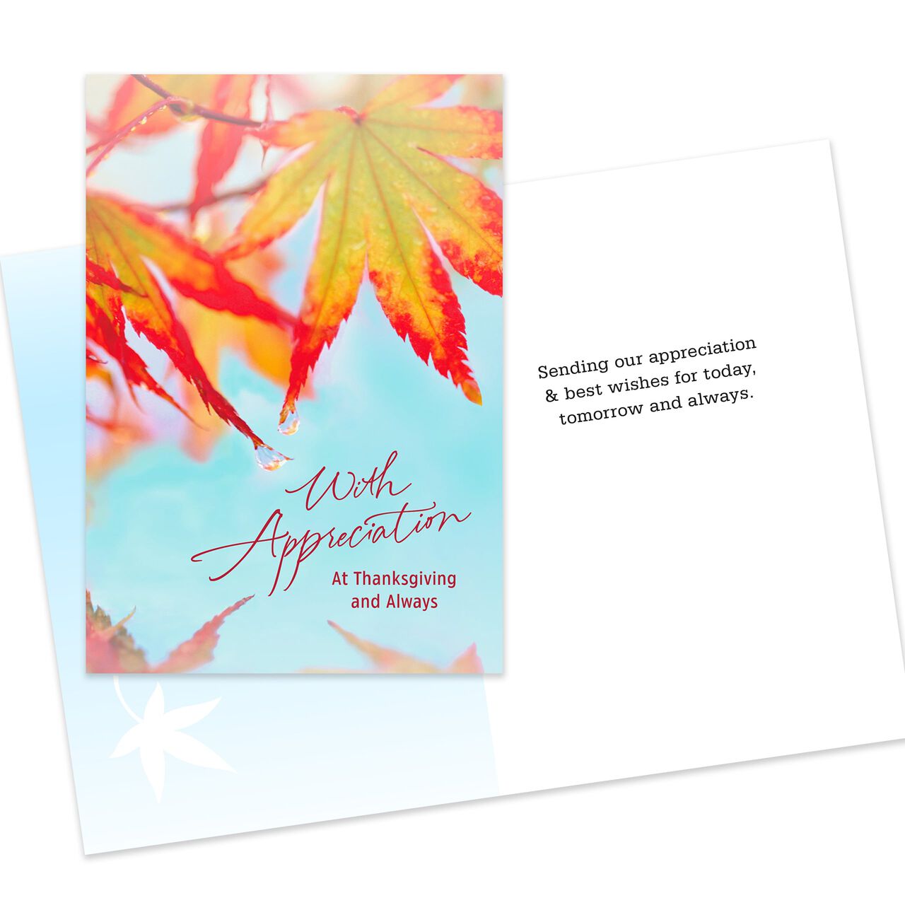 Appreciation & Thanks Assorted Thanksgiving Cards 10 Pack image number 1
