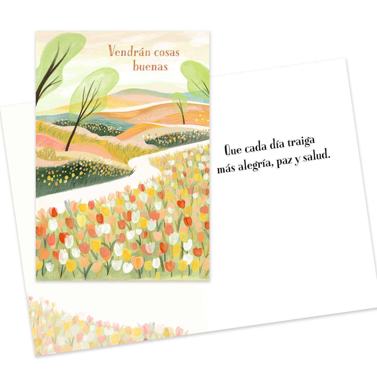 Spanish All Occasion Starter Kit Assorted Cards 50 Pack image number 3