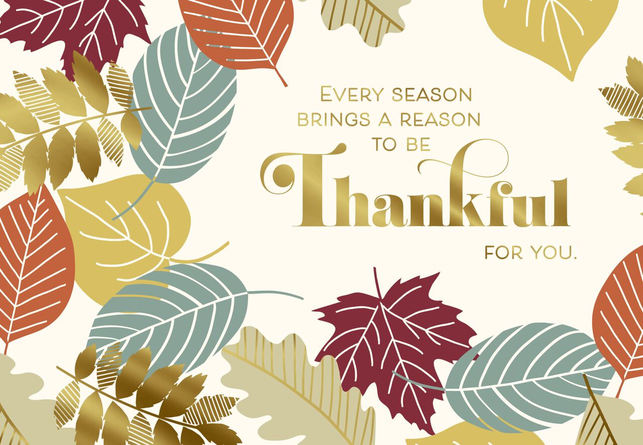Every Season Thankful Thanksgiving Cards
