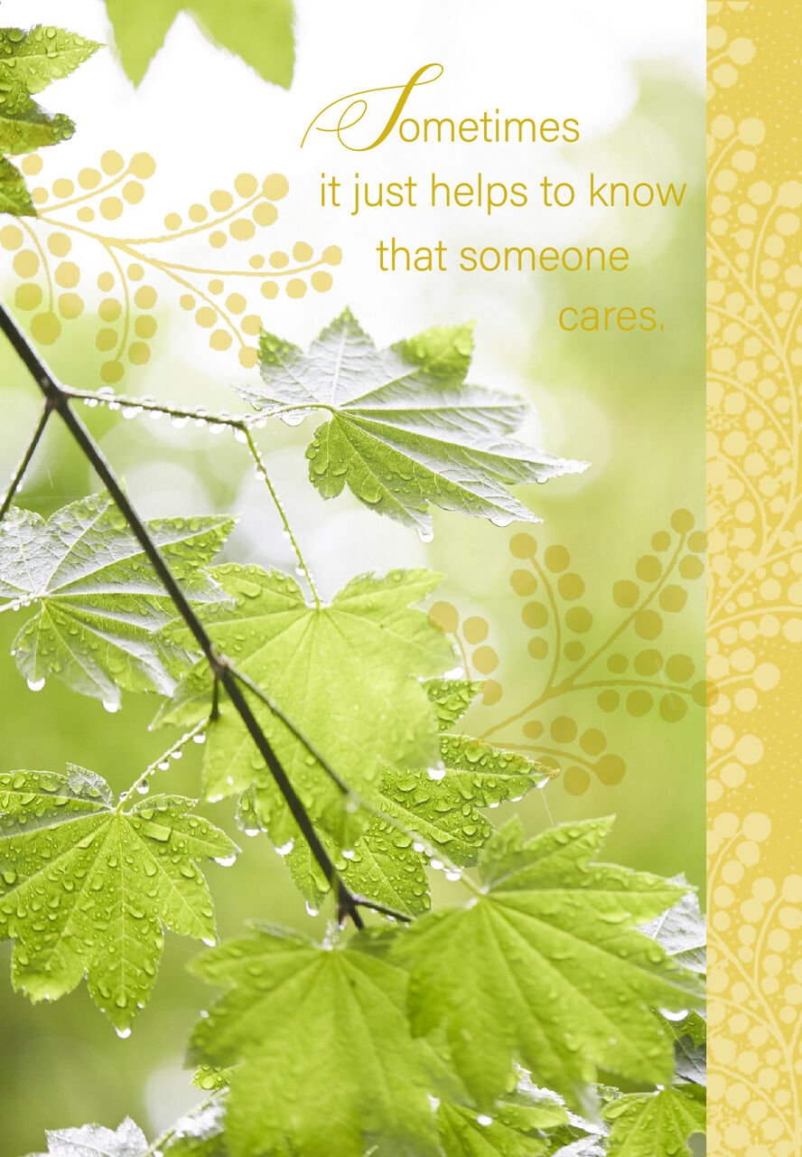 Peaceful Maple Thinking of You Card