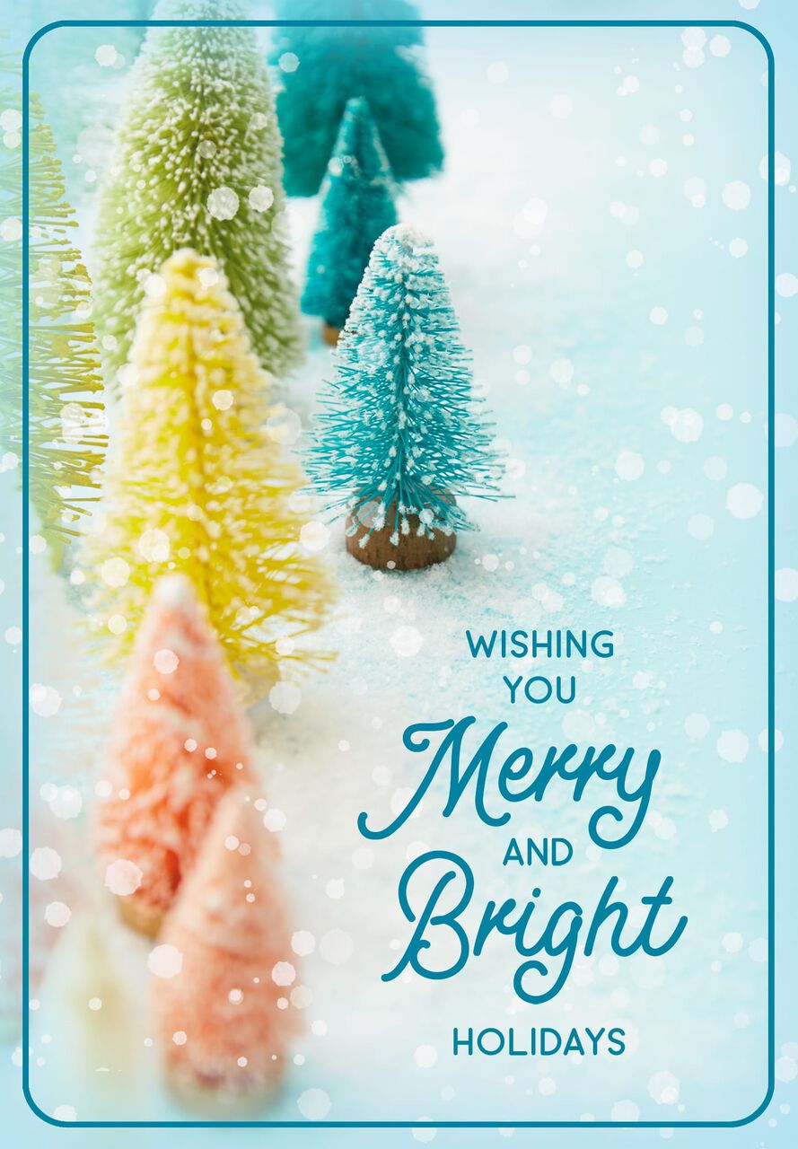 Merry & Bright Colorful Trees Holiday Cards