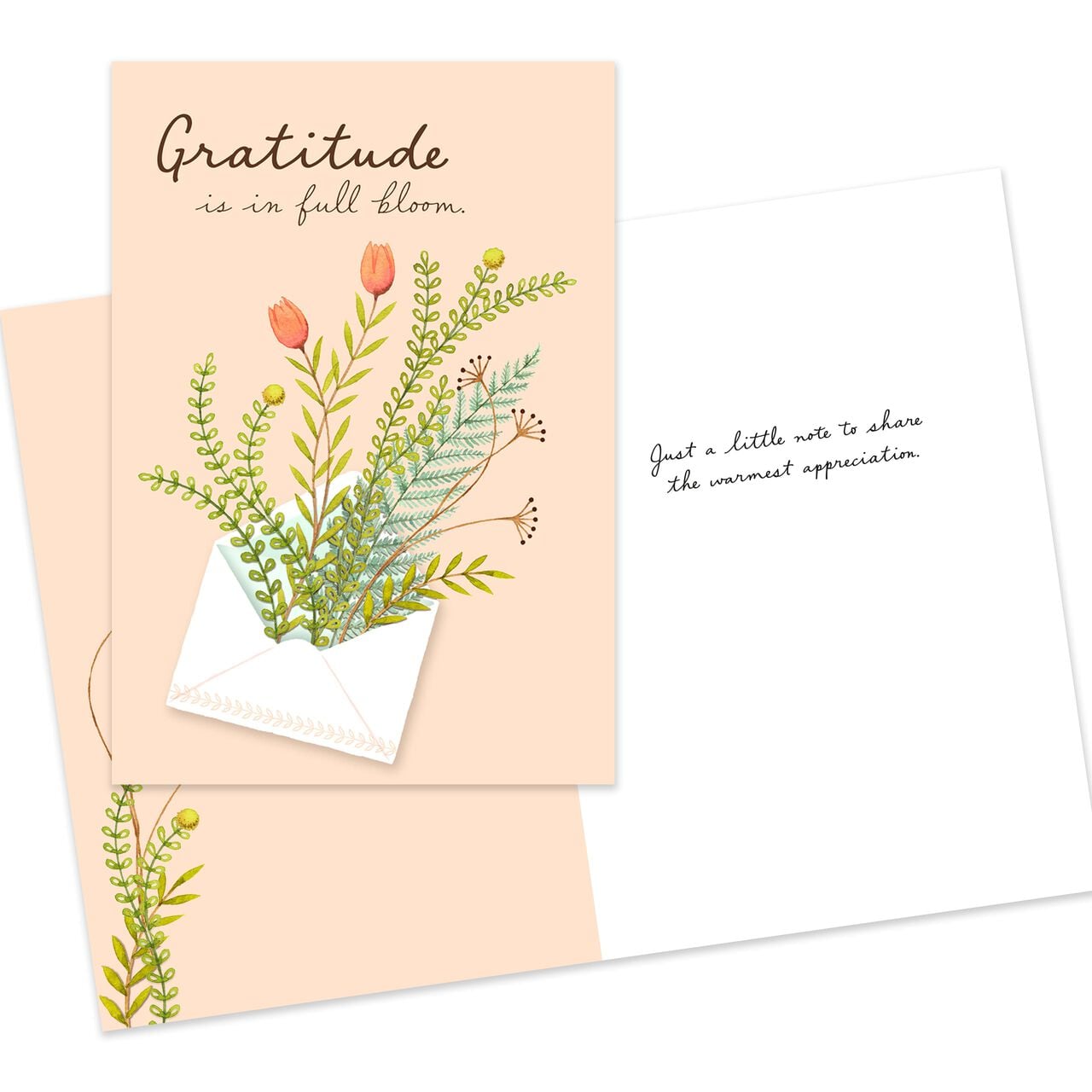 Starter Kit Assorted Greeting Cards 50 Pack image number 6