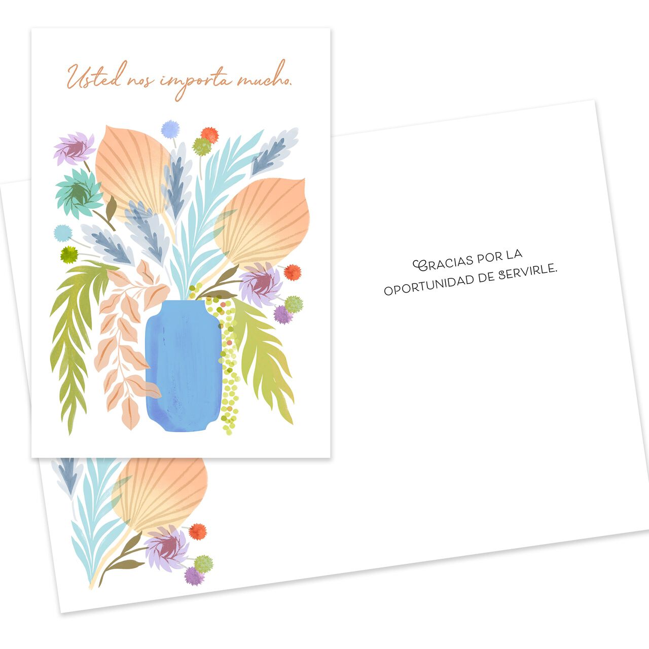 Spanish All Occasion Starter Kit Assorted Cards 50 Pack image number 7