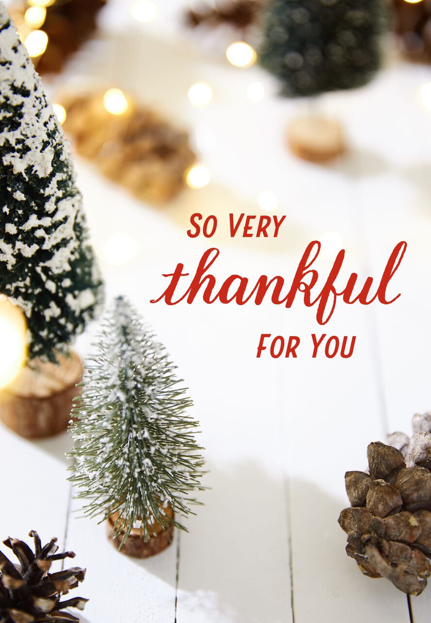 So Very Thankful Holiday Cards
