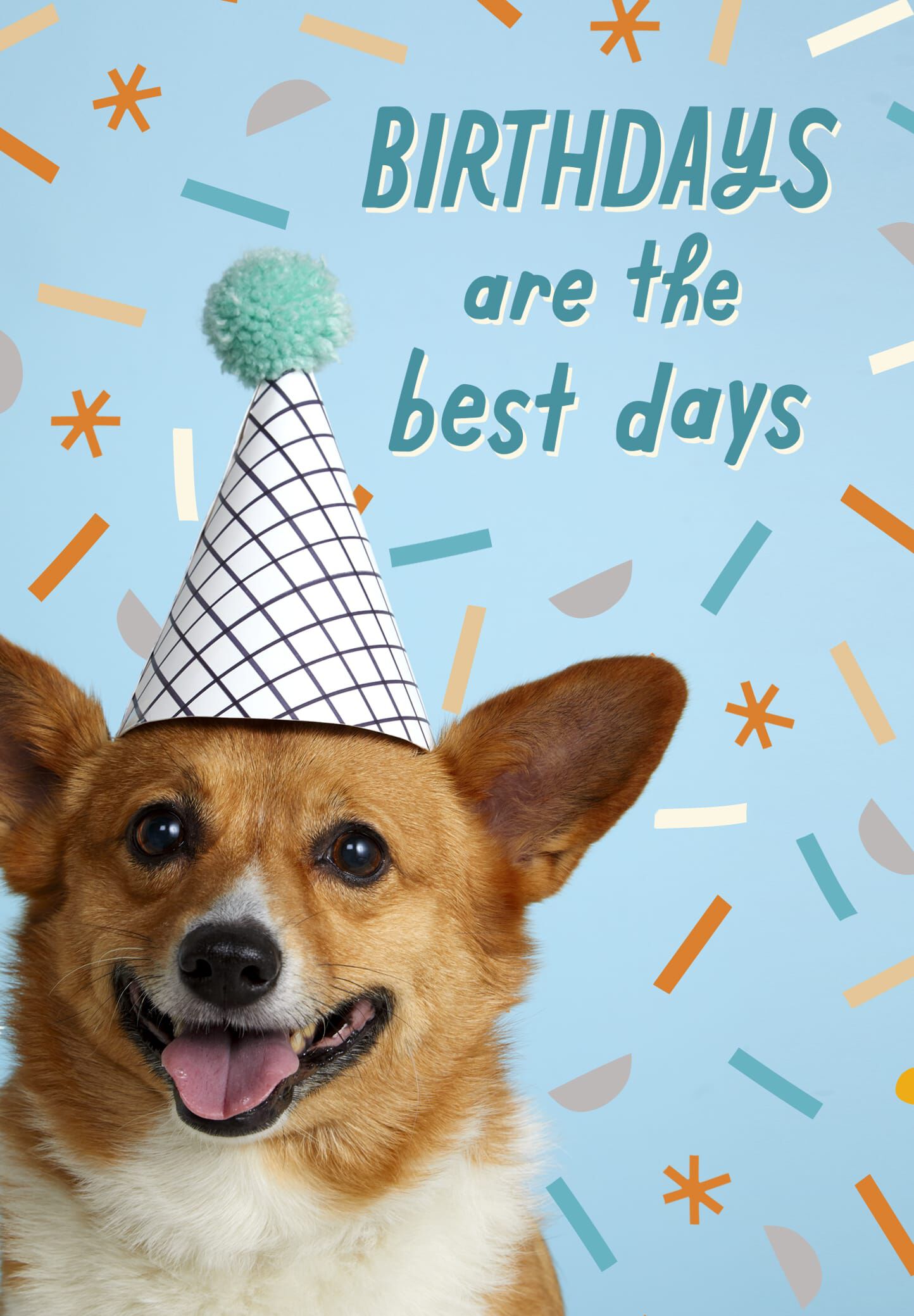 Corgi party hot sale hat