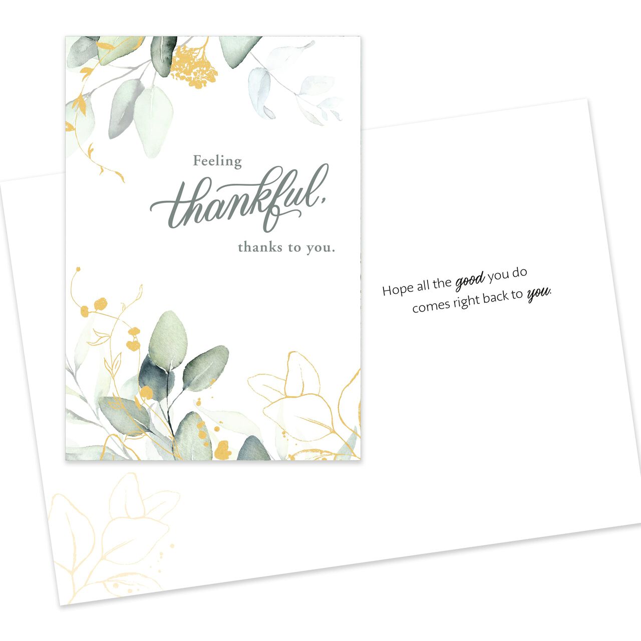 Classic Appreciation Assorted Thank You Cards 25 Pack image number 4