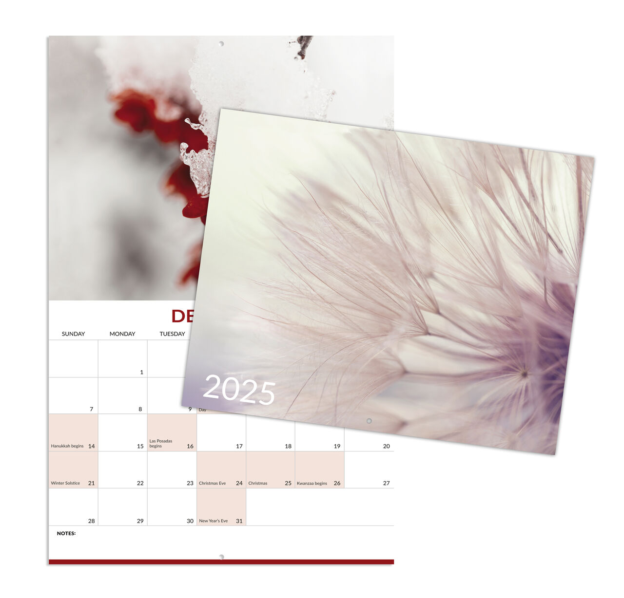 Macro Photography 2025 Wall Calendar image number 0