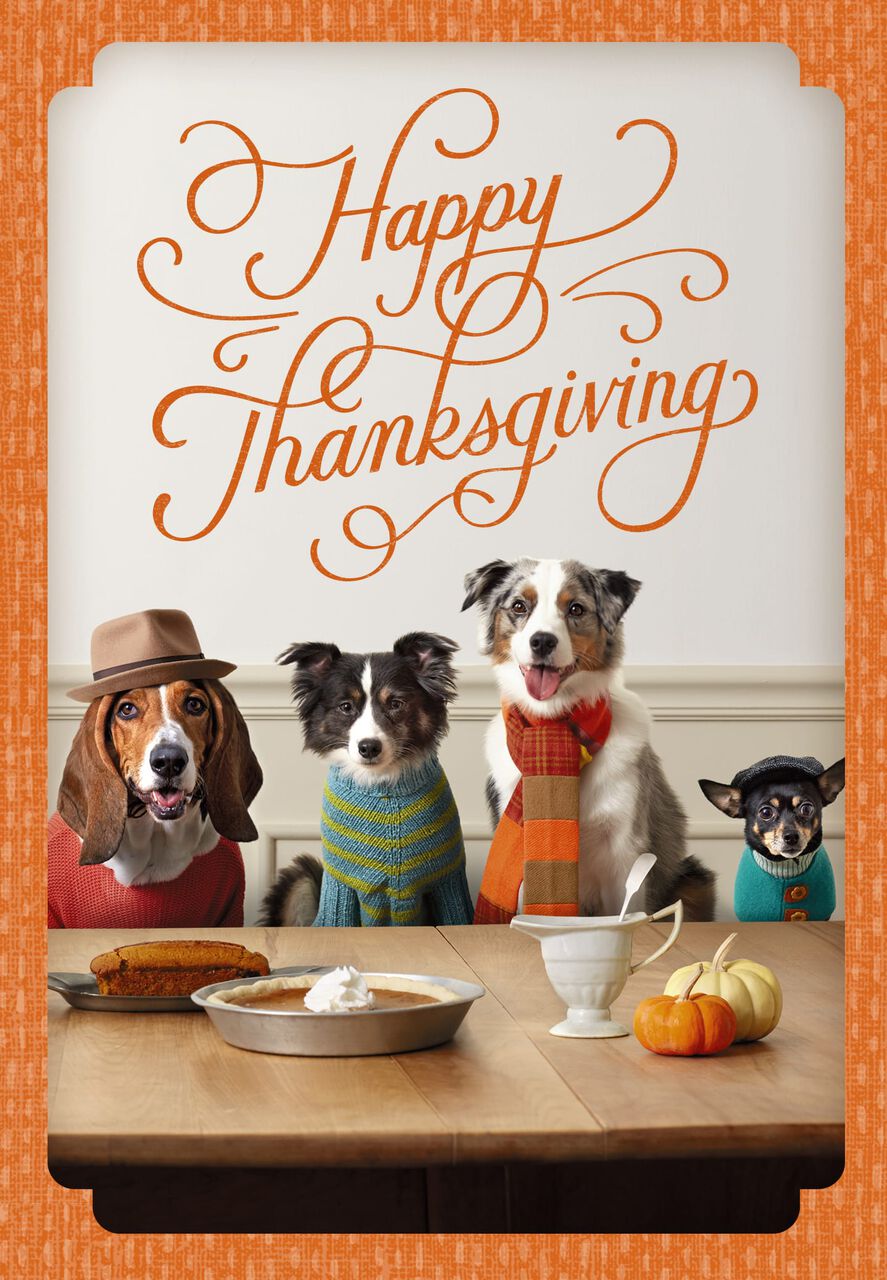 Dressed Up Dogs Thanksgiving Card