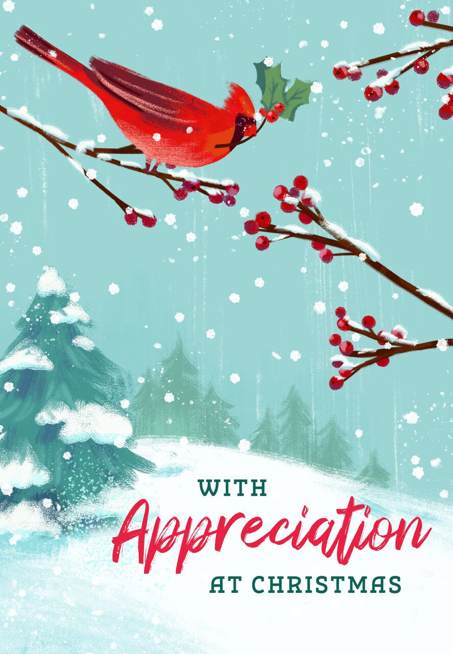 Cardinal & Berries Appreciation Christmas Cards