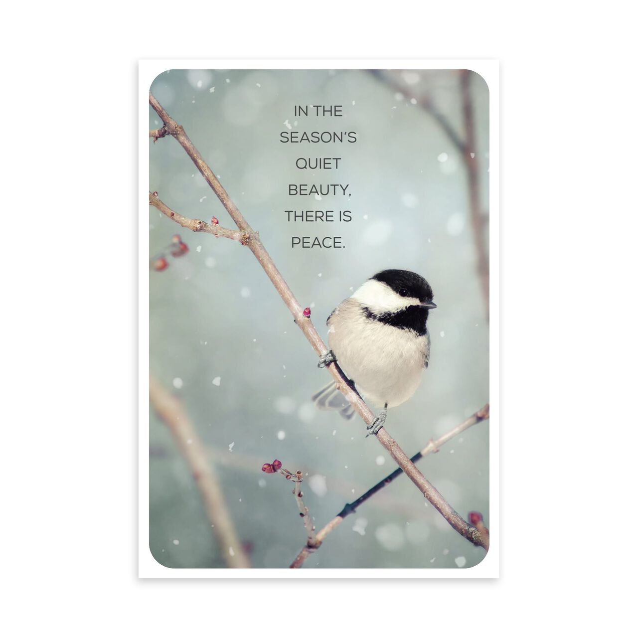 Chickadee on Branch Holiday Card image number 0