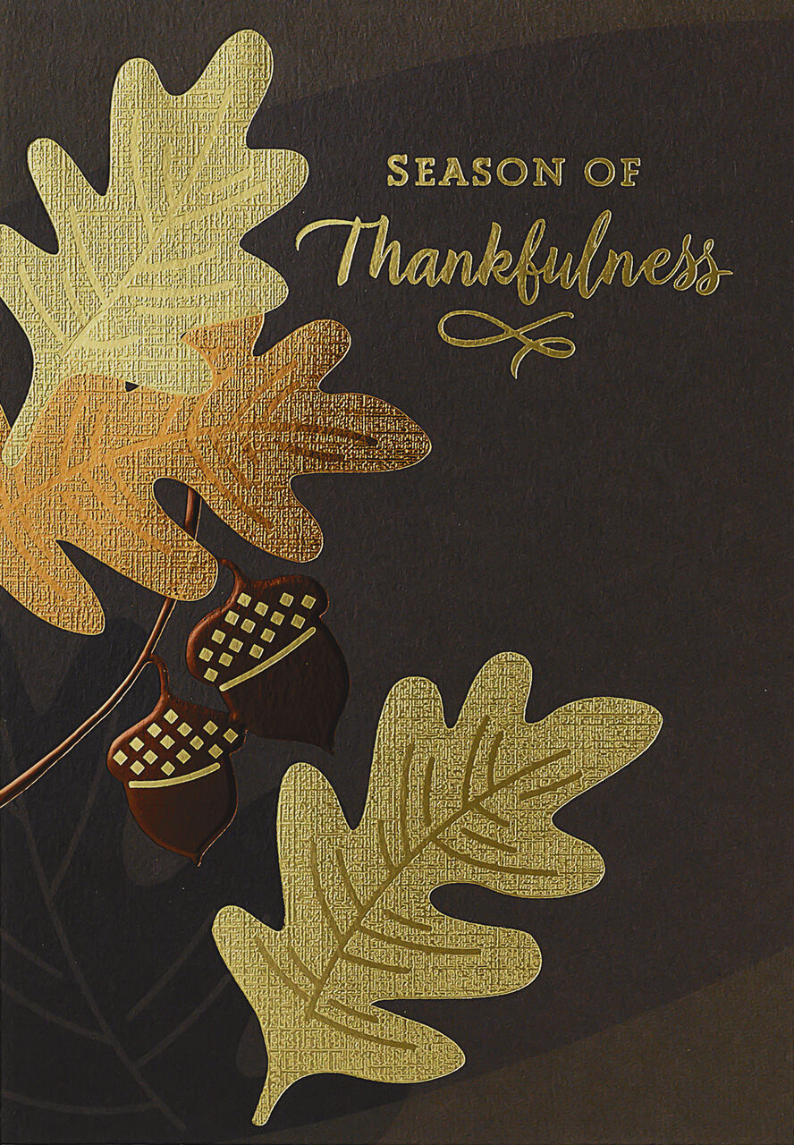Season of Thankfulness Premium Thanksgiving Card