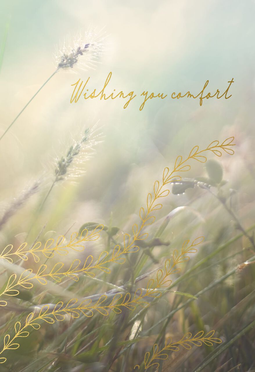 Golden Wheat Field Sympathy Card