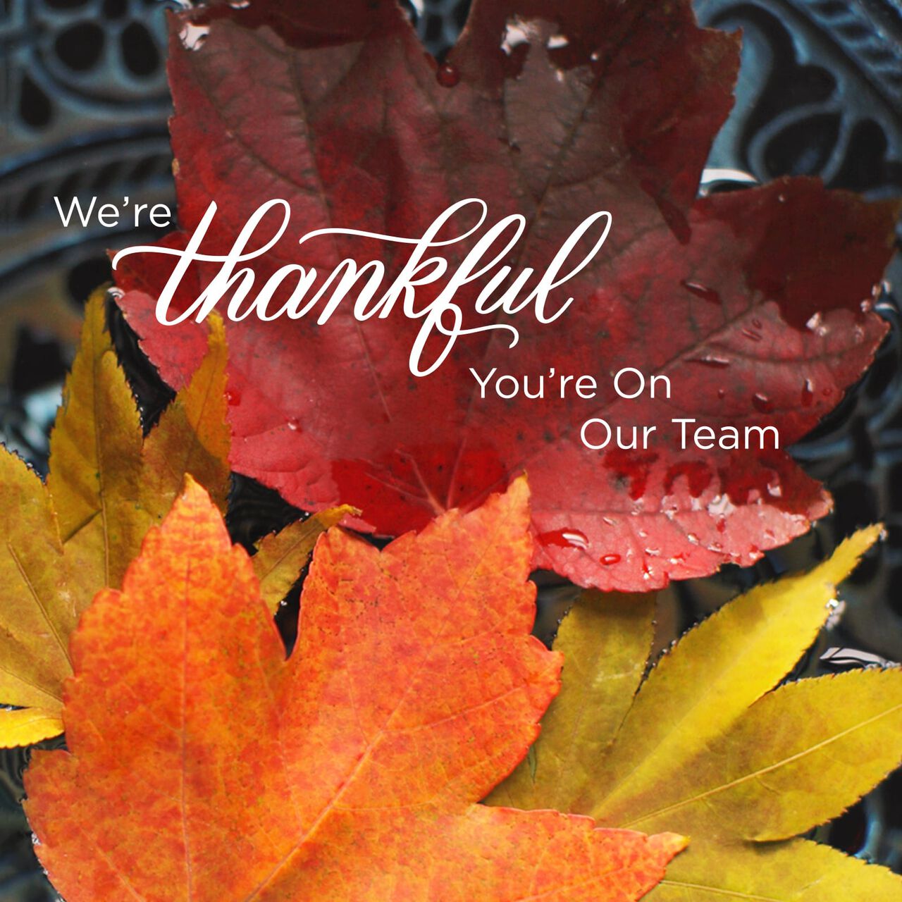 Thankful Team Thanksgiving Card