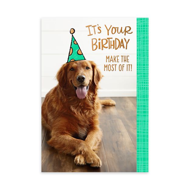 Yellow Dog in Party Hat Birthday Card