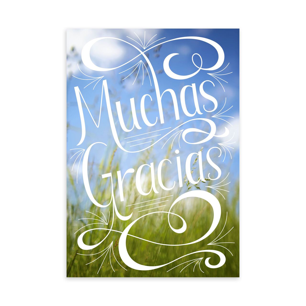 Muchas Gracias Spanish Thank You Card image number 0