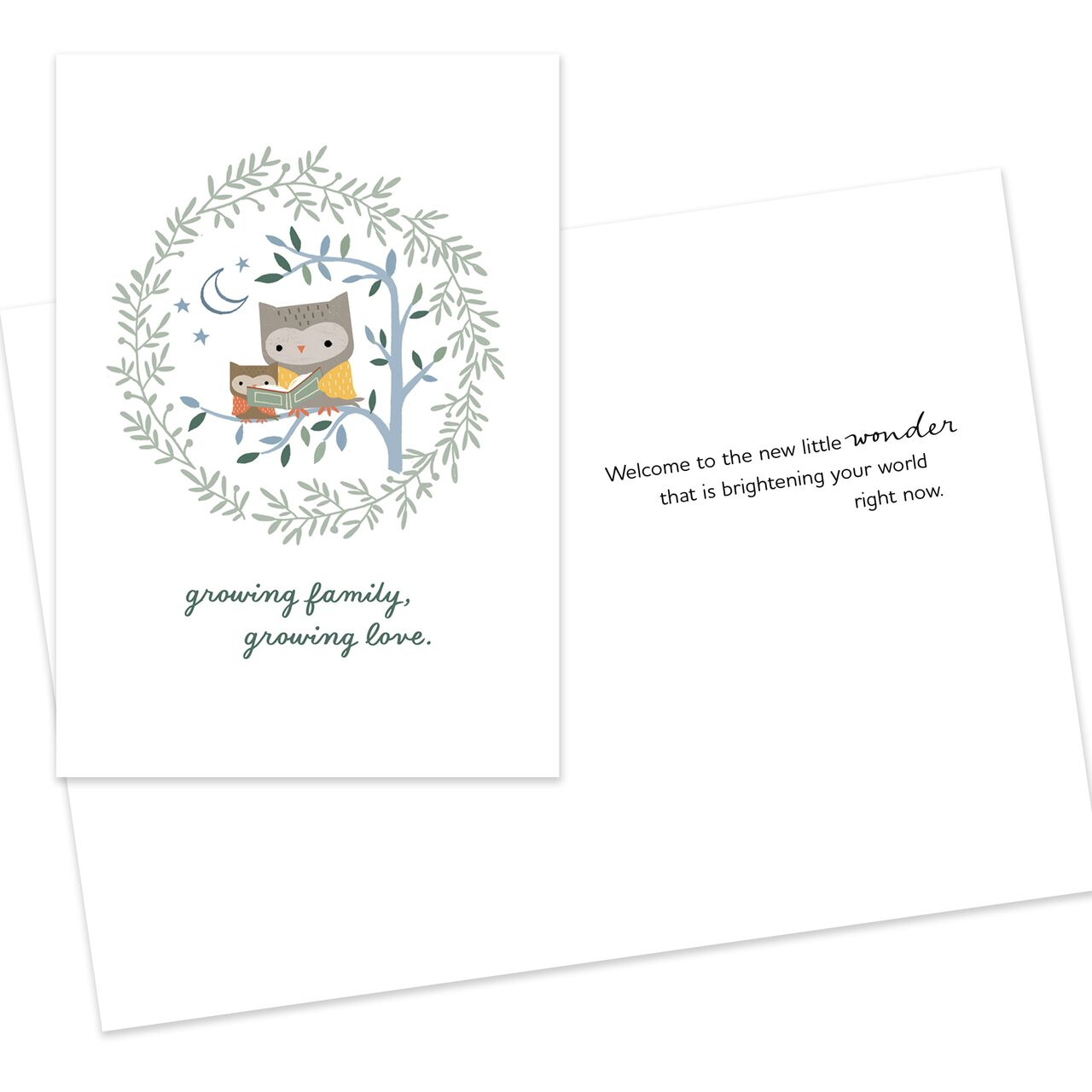 Owls Reading New Baby Card image number 1