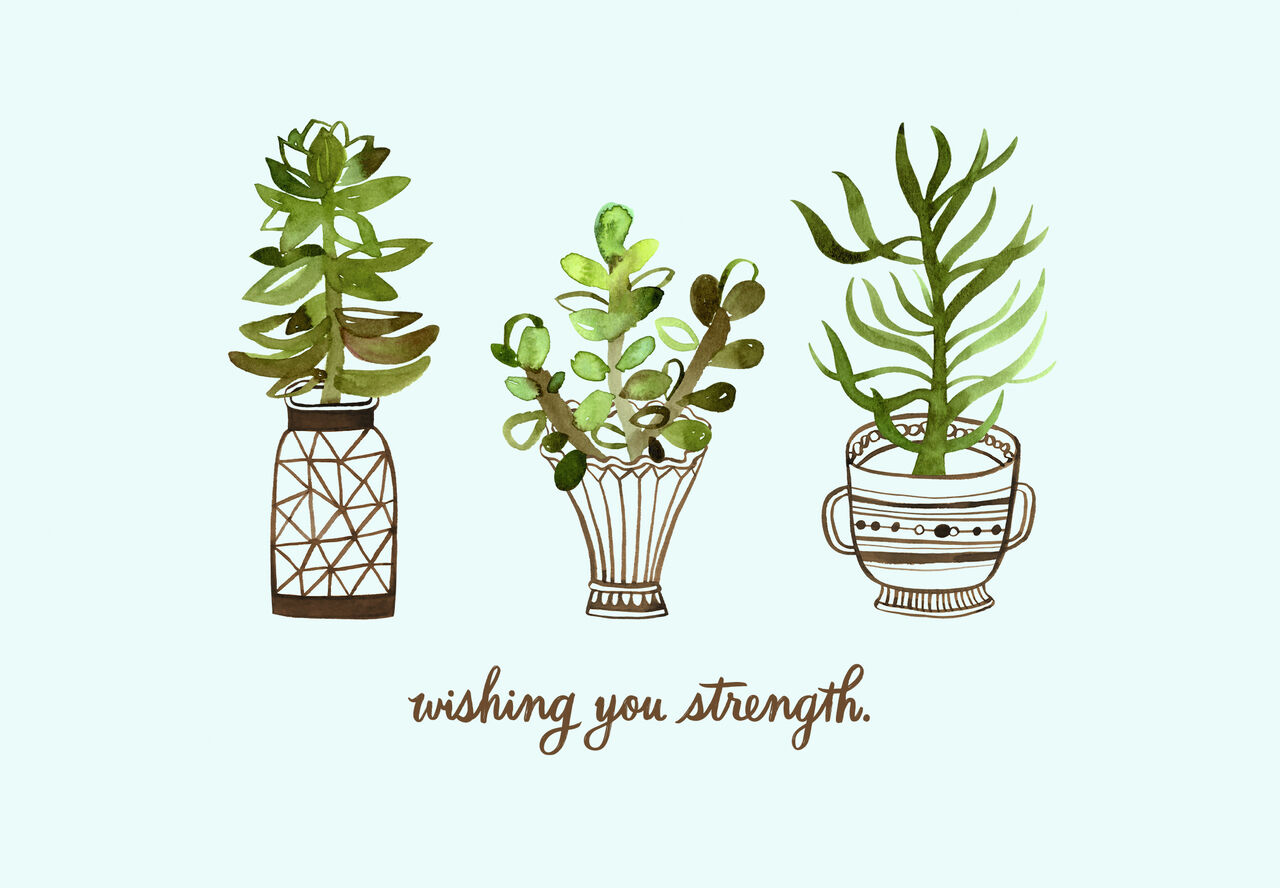 Plants in Pots Encouragement Card