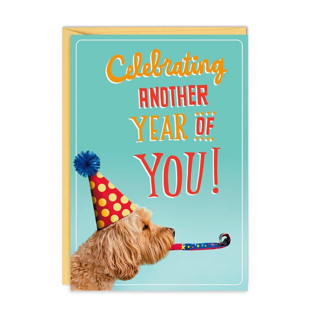 Dog in Party Hat Birthday Card