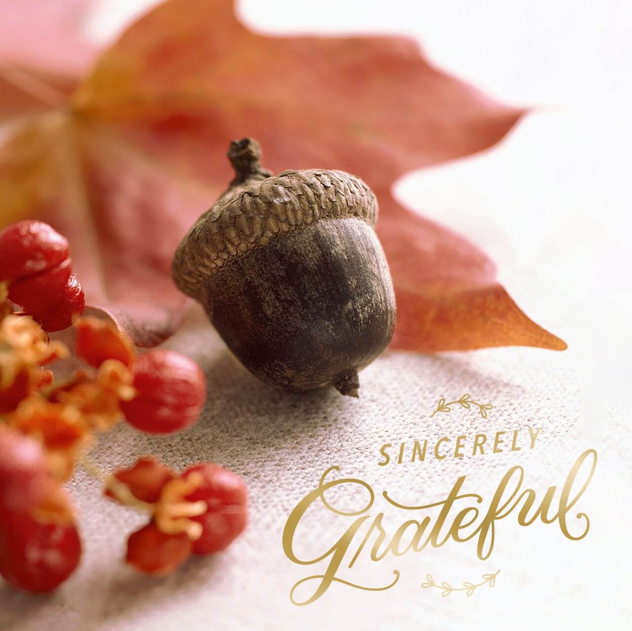 Sincerely Grateful Acorn and Berries Thanksgiving Card