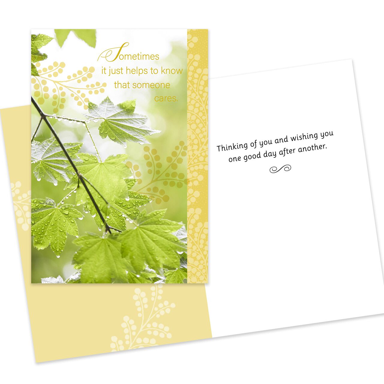 Assorted Encouragement, Get Well & Sympathy Cards 50 Pack image number 10