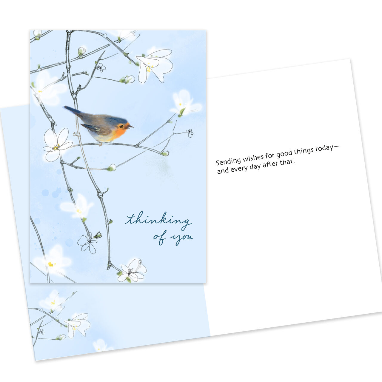 Caring Thoughts, Feel Better Assorted Care & Concern Cards 25 Pack image number 4