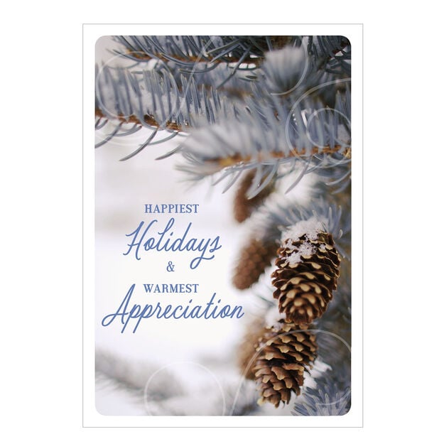 Warmest Appreciation Pinecones Holiday Card