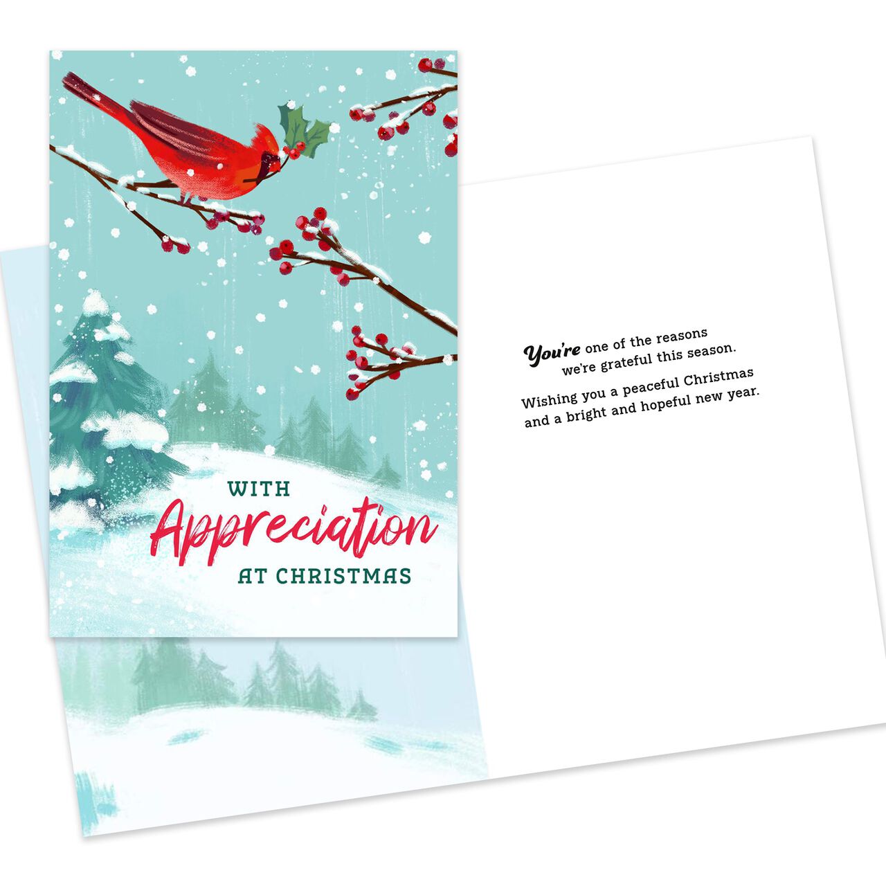Merry & Bright Colorful Trees Assorted Christmas Cards 100 Pack image number 4