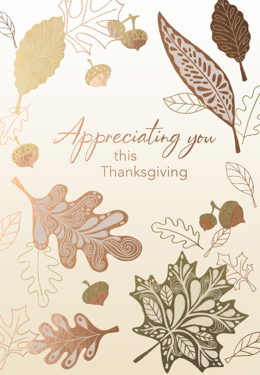 Appreciating You Premium Thanksgiving Card
