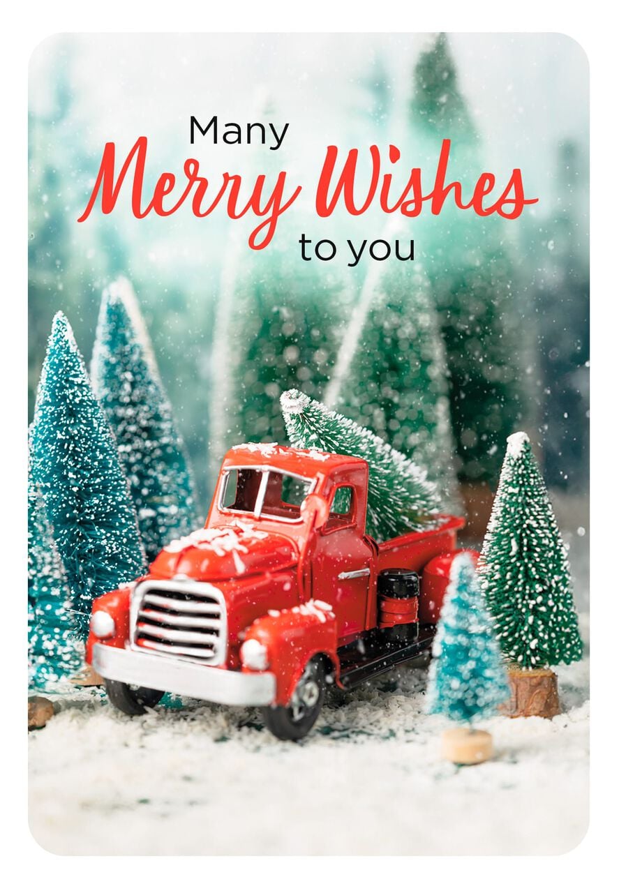 Playful Winter Scene Holiday Card