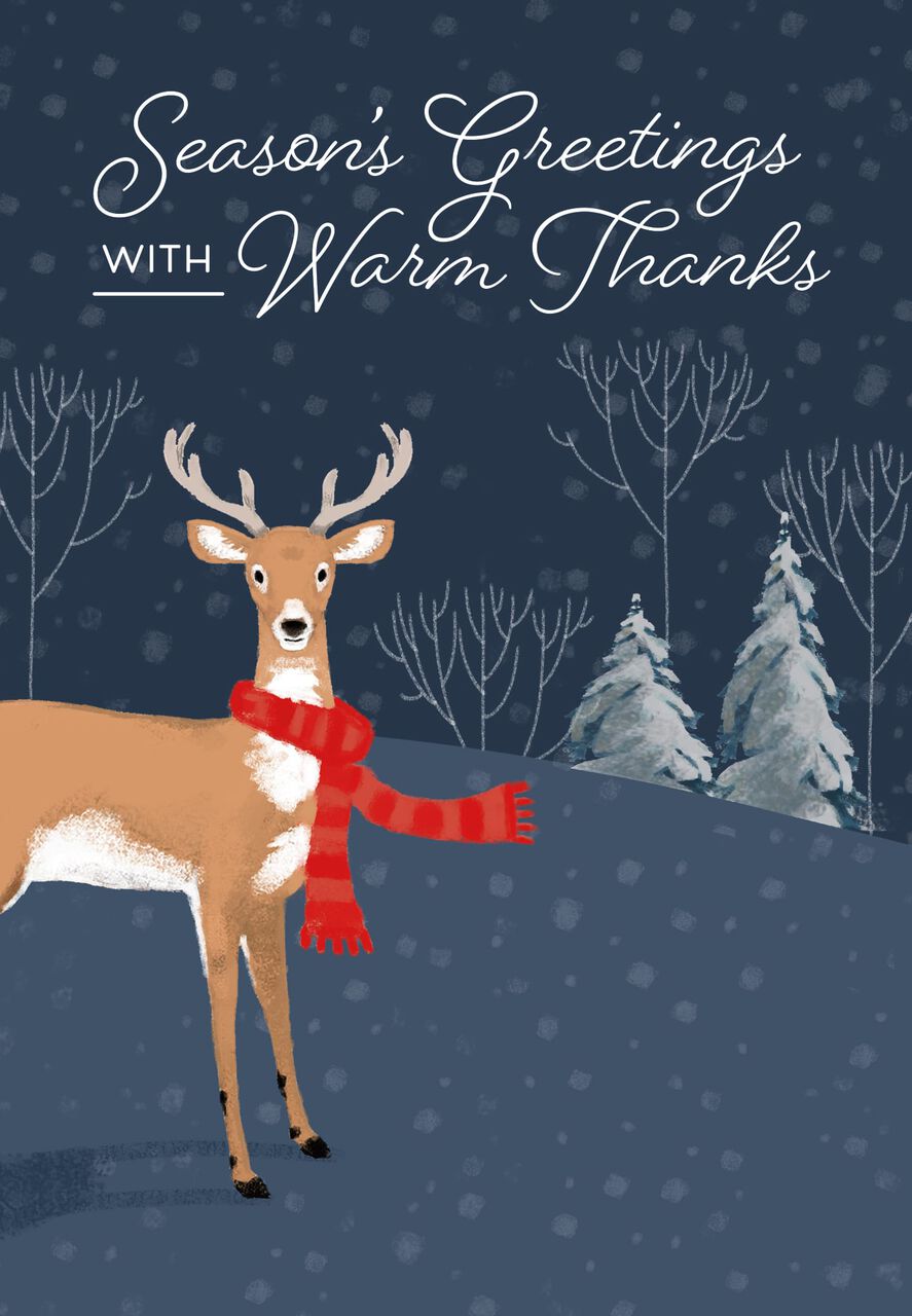 Deer in Red Scarf Holiday Card