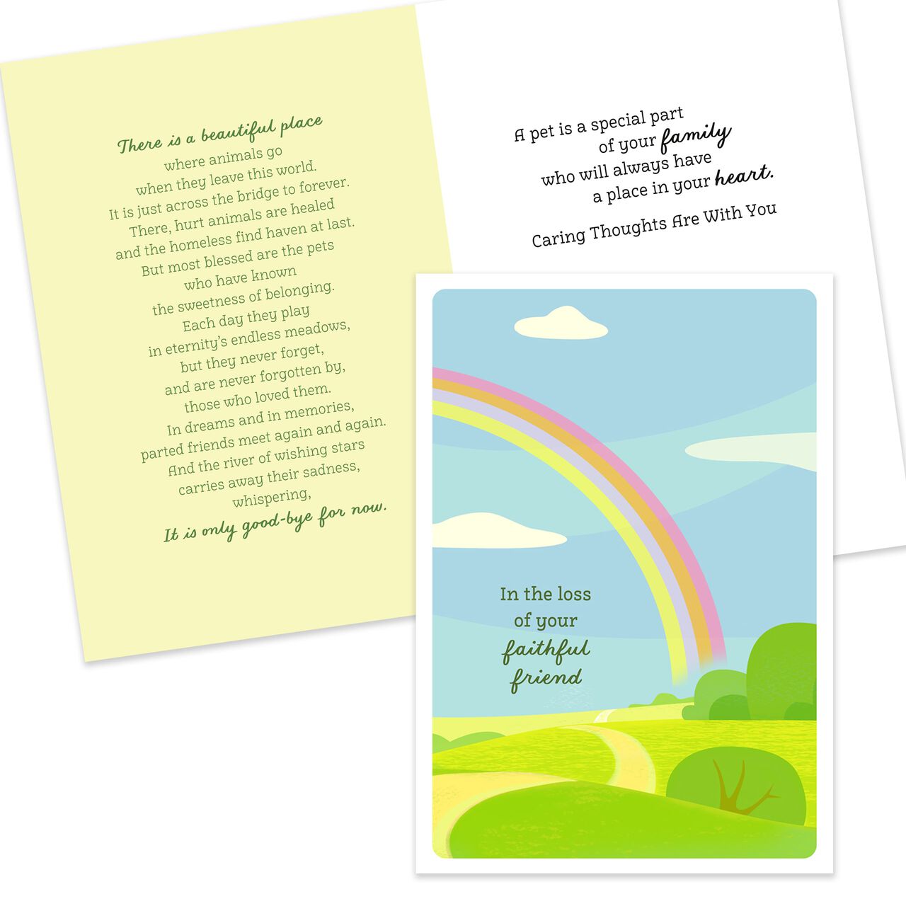 Starter Kit Assorted Greeting Cards 50 Pack image number 5