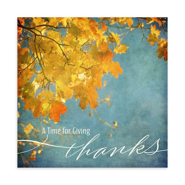 Vibrant Fall Leaves Thanksgiving Card