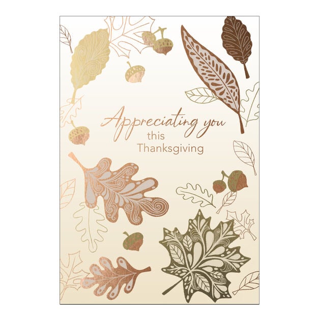 Appreciating You Premium Thanksgiving Card