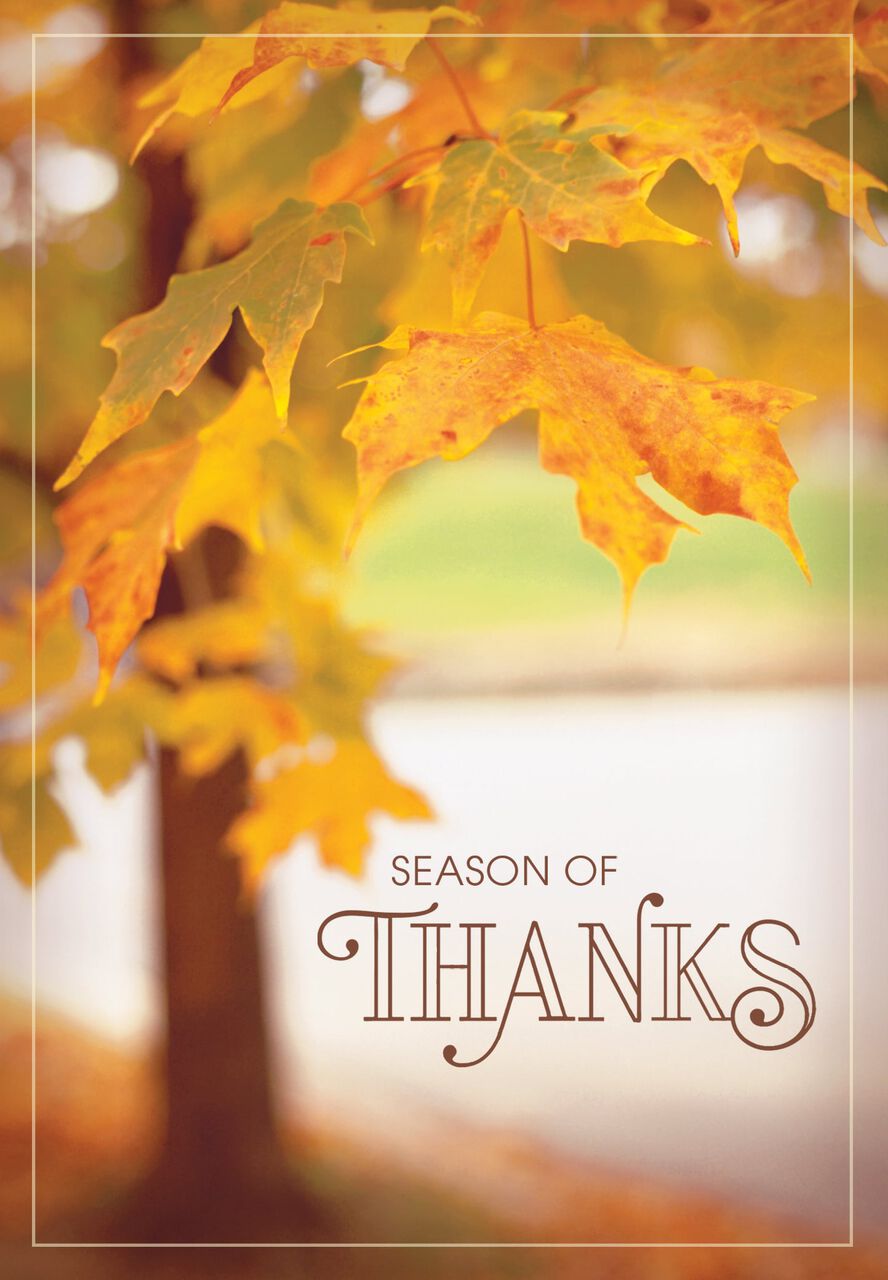 Yellow Leaves on Tree Thanksgiving Card