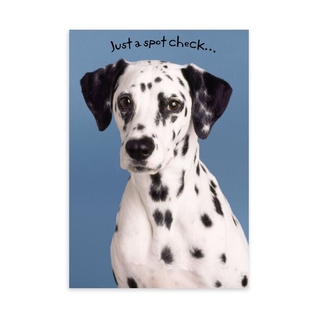 Dalmatian Spot Check Caring Thoughts Card