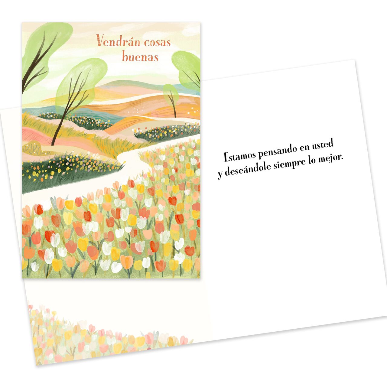 All Occasions Assorted Spanish Greeting Cards 25 Pack image number 2
