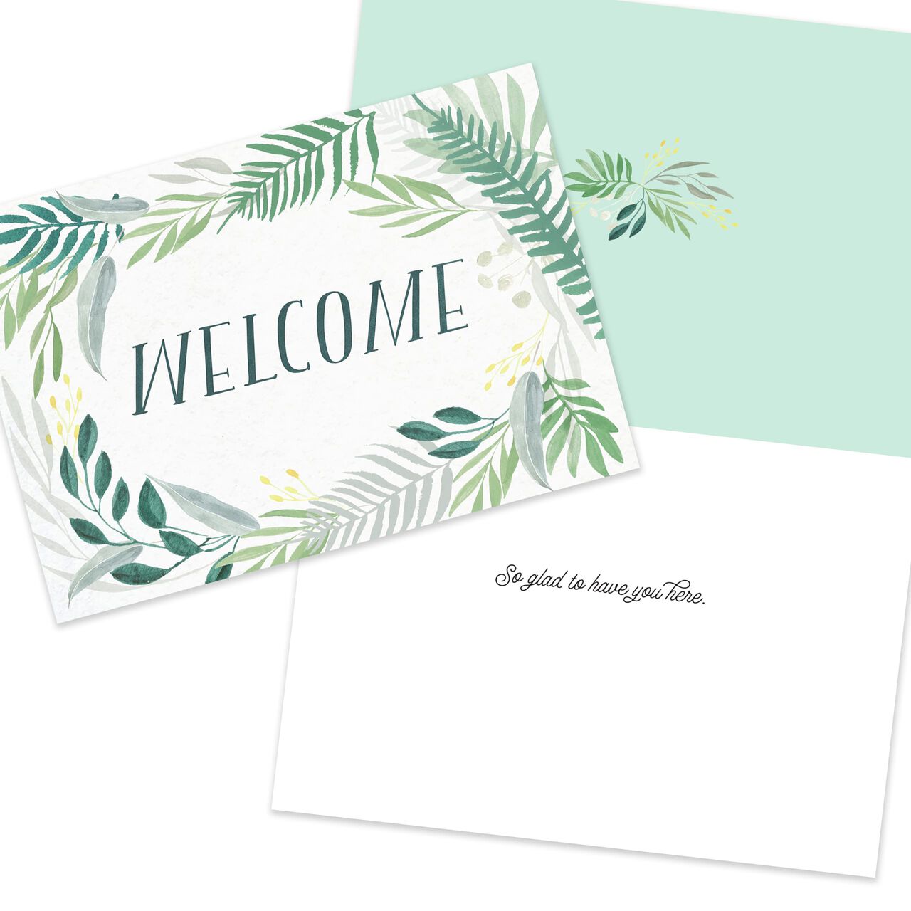 Starter Kit Assorted Greeting Cards 50 Pack image number 5