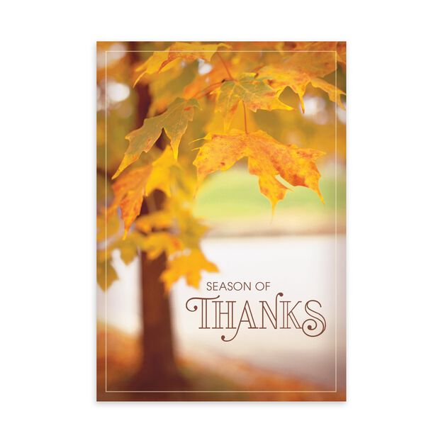 Yellow Leaves on Tree Thanksgiving Card